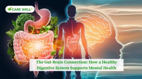 Gut-Brain Connection